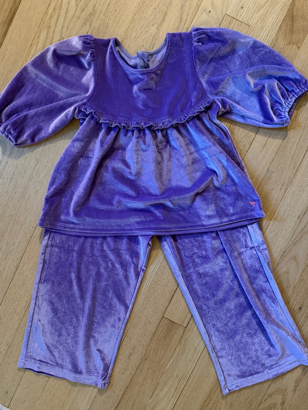 Pink Chicken Purple Velvet Puff Sleeve Matching Set